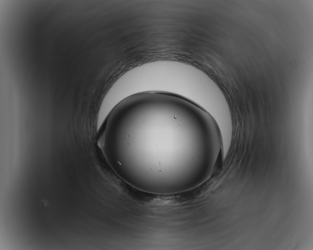 X0000093250280200710101446