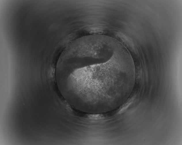 X0000093250281200710101446