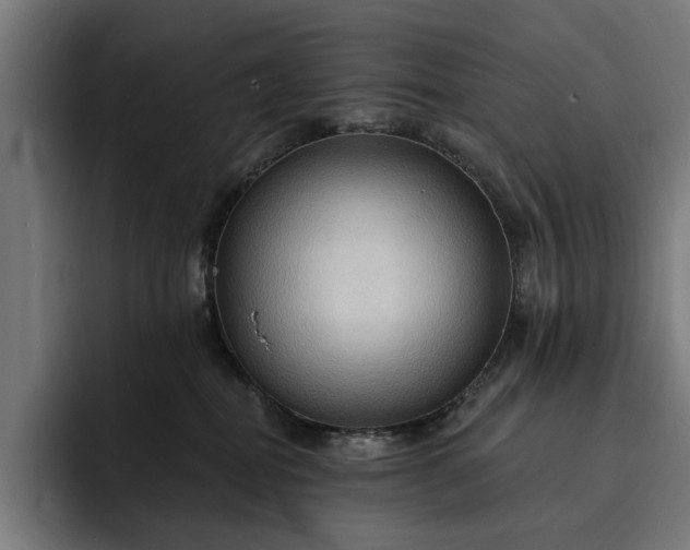 X0000093250282200710101446