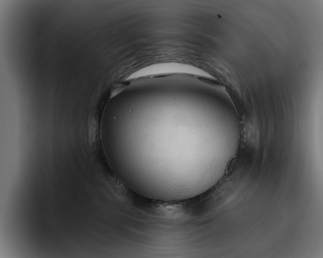 X0000093250283200710101446