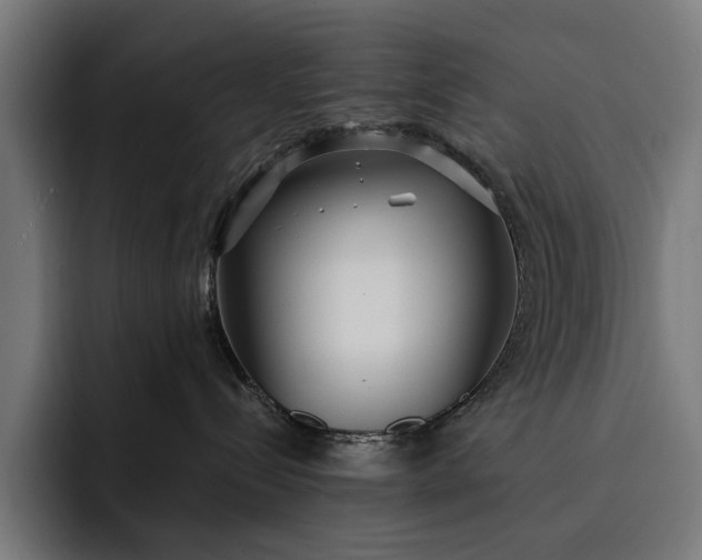 X0000093250288200710101446