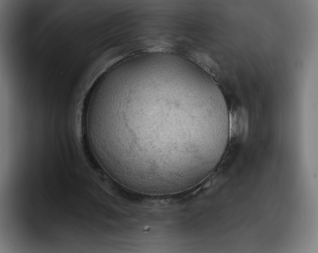 X0000093250291200710101446