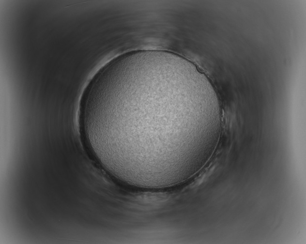 X0000093250292200710101446