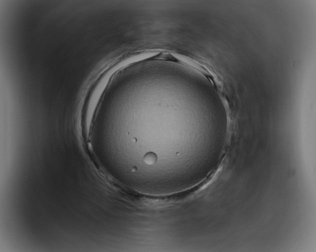 X0000093250293200710101446