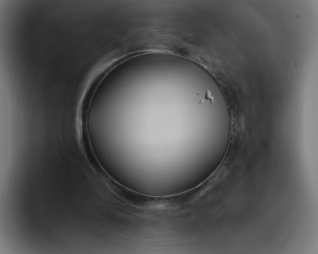 X0000093250294200710101446