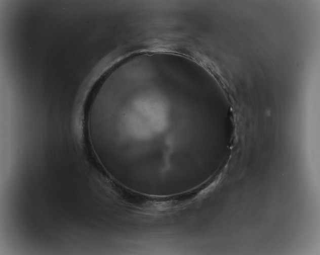 X0000093250295200710101446