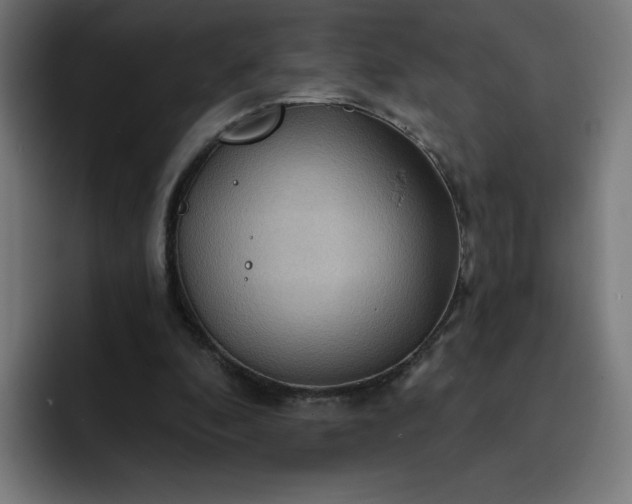 X0000093250296200710101445