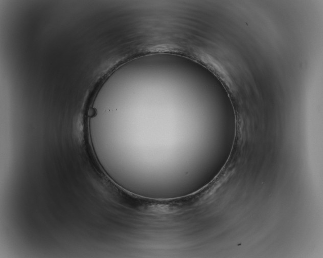 X0000093250298200710101445