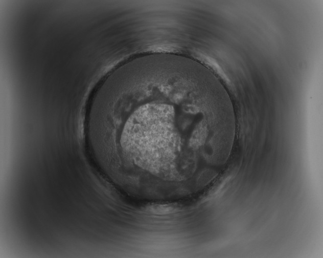 X0000093250299200710101445