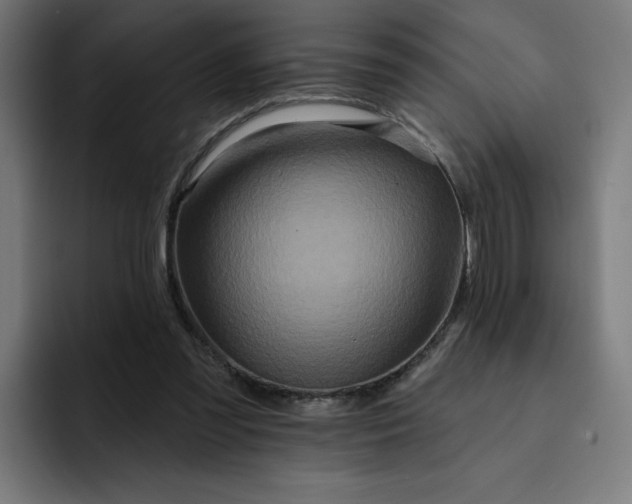 X0000093250301200710101445