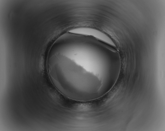 X0000093250303200710101445