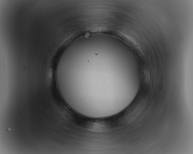 X0000093250308200710101445