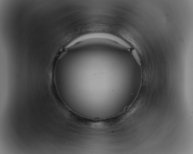 X0000093250309200710101445