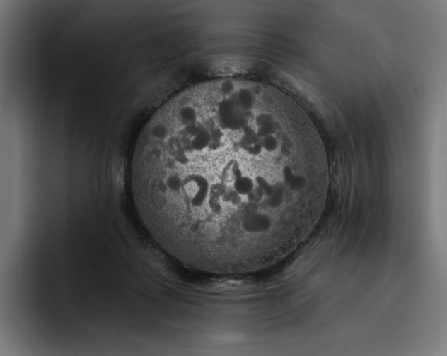 X0000093250315200710101445