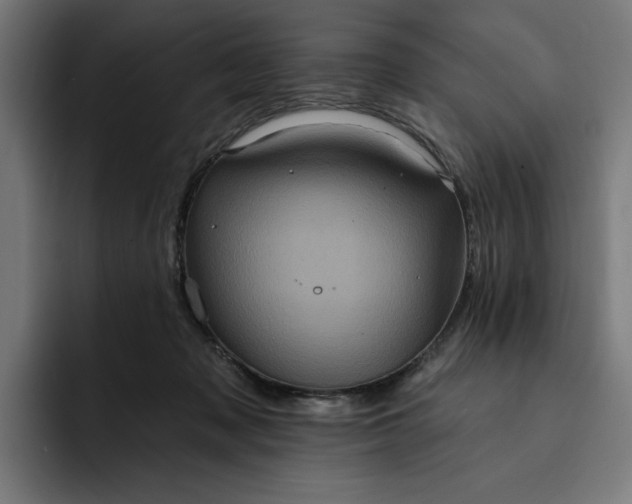 X0000093250317200710101445