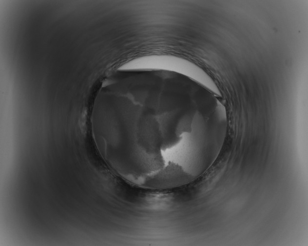 X0000093250319200710101445