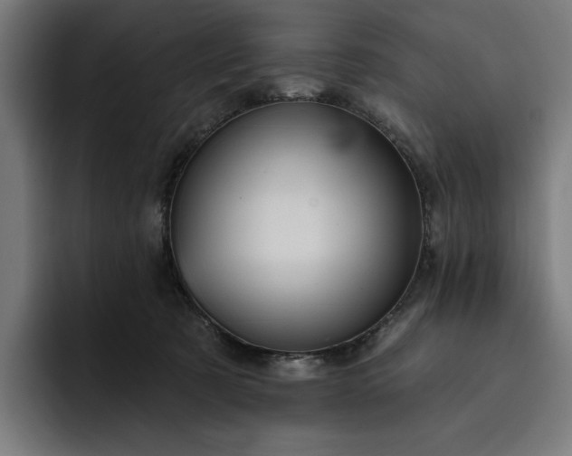 X0000093250321200710101445