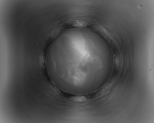 X0000093250322200710101445