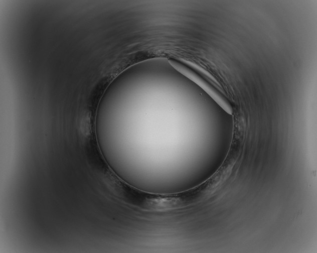 X0000093250323200710101445