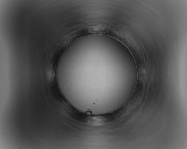 X0000093250324200710101445