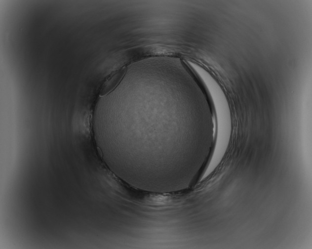 X0000093250325200710101445