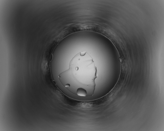 X0000093250327200710101445