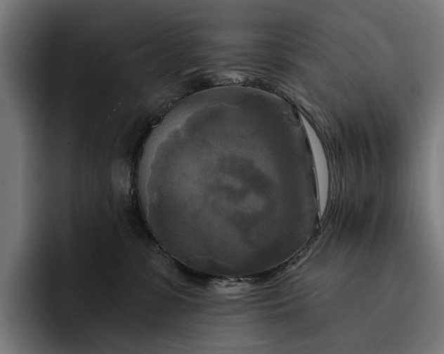 X0000093250331200710101445