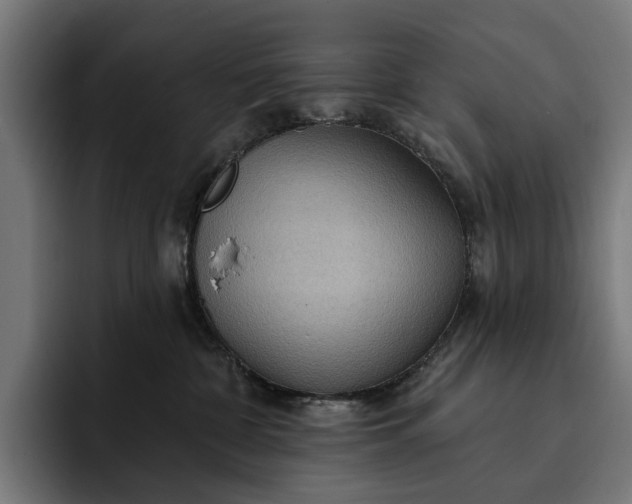 X0000093250332200710101445