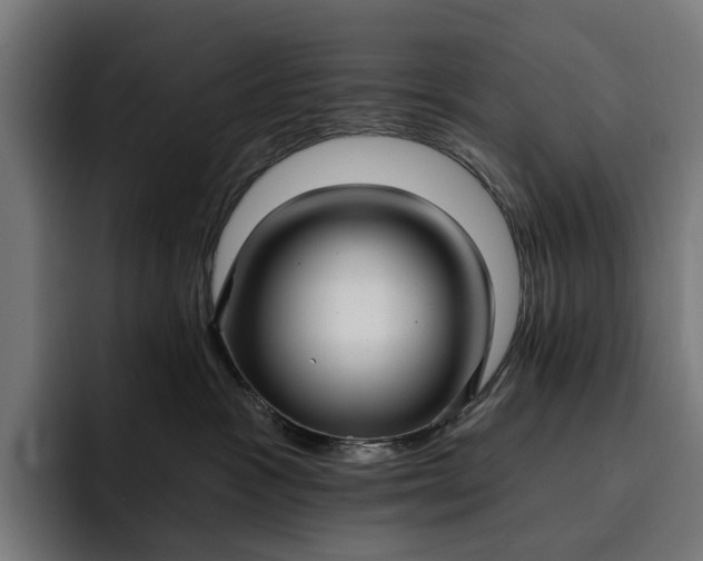 X0000093250333200710101445