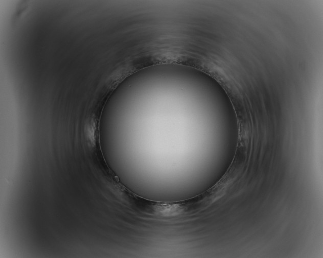 X0000093250334200710101445