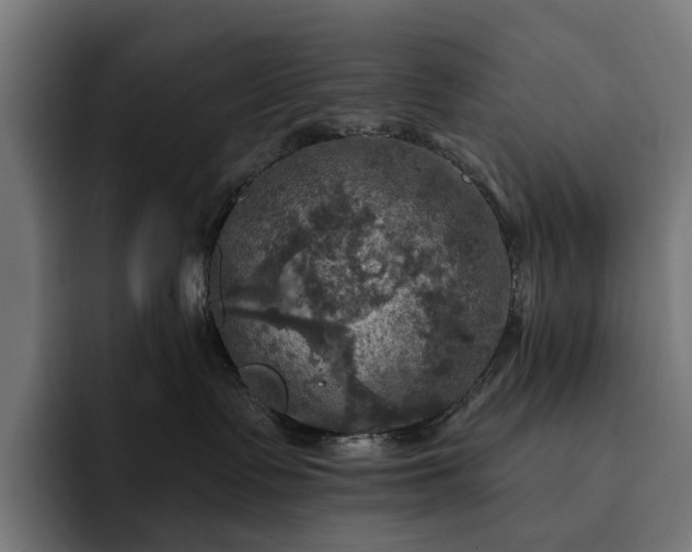 X0000093250335200710101445