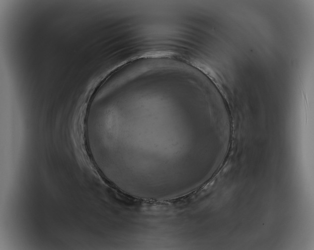 X0000093250337200710101444