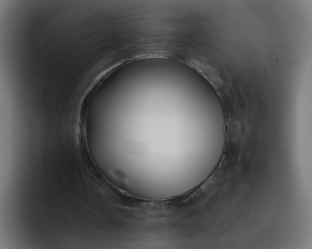 X0000093250338200710101444