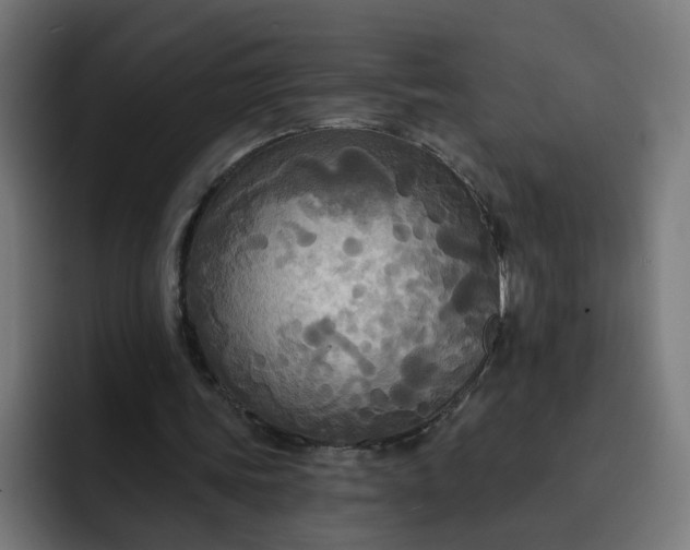 X0000093250339200710101444