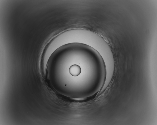 X0000093250340200710101445