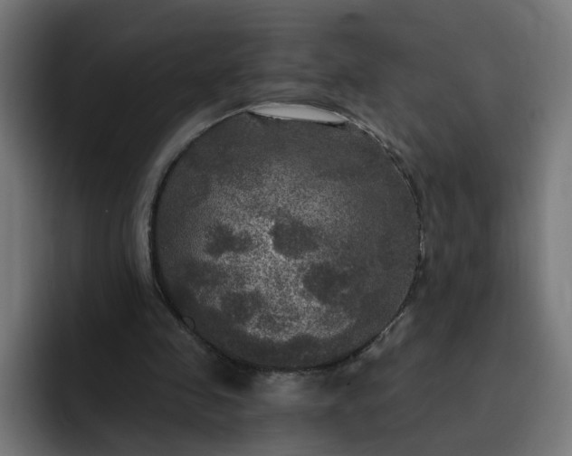 X0000093250341200710101445