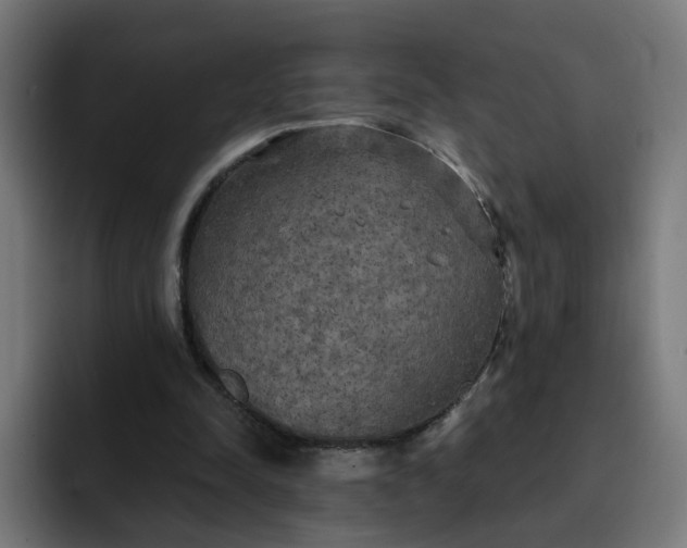 X0000093250342200710101445