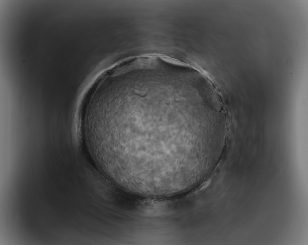 X0000093250343200710101445