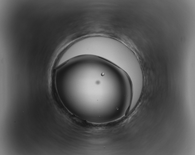 X0000093250344200710101445