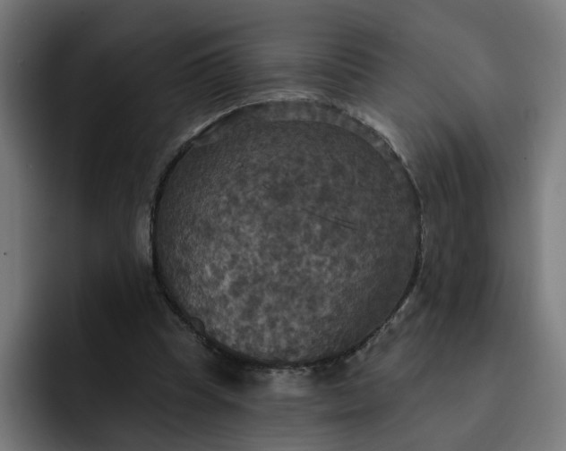 X0000093250345200710101445