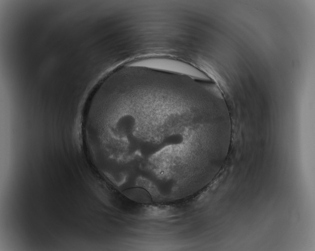 X0000093250346200710101445