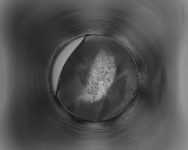 X0000093250349200710101445