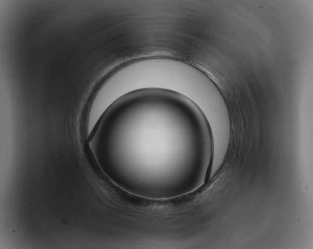 X0000093250350200710101445