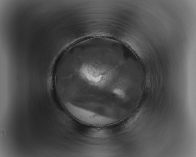 X0000093250351200710101445