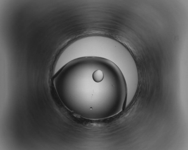 X0000093250352200710101445