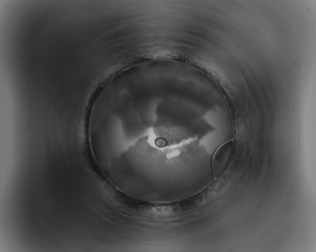 X0000093250353200710101445