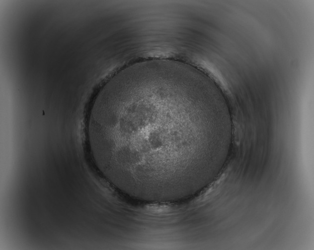 X0000093250354200710101445