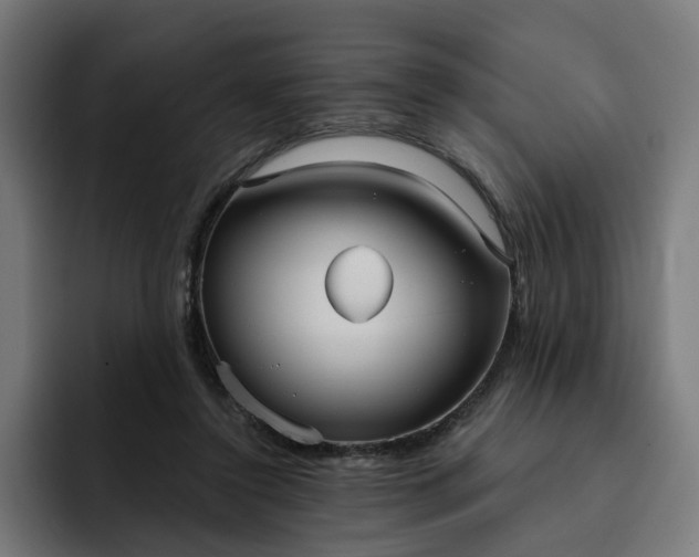 X0000093250356200710101445