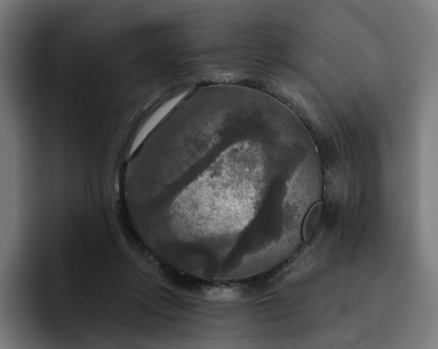 X0000093250358200710101445