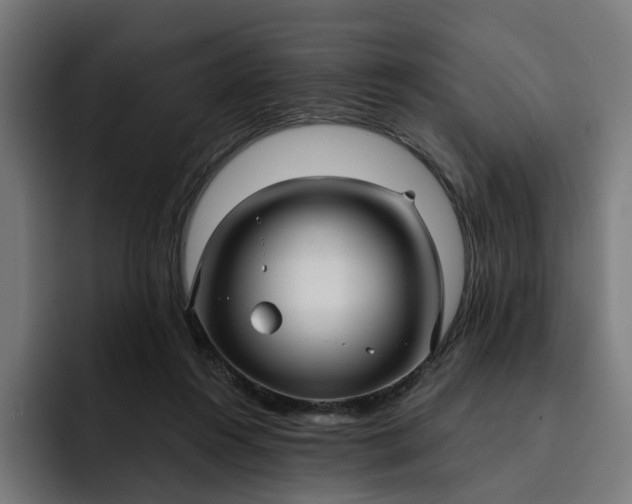 X0000093250360200710101445